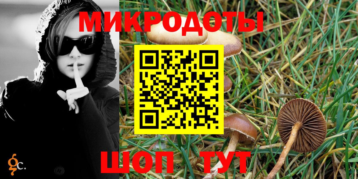 Псилоцибиновые грибы Magic Shrooms  где можно купить наркотик  Кольчугино  Вход с VPN 
